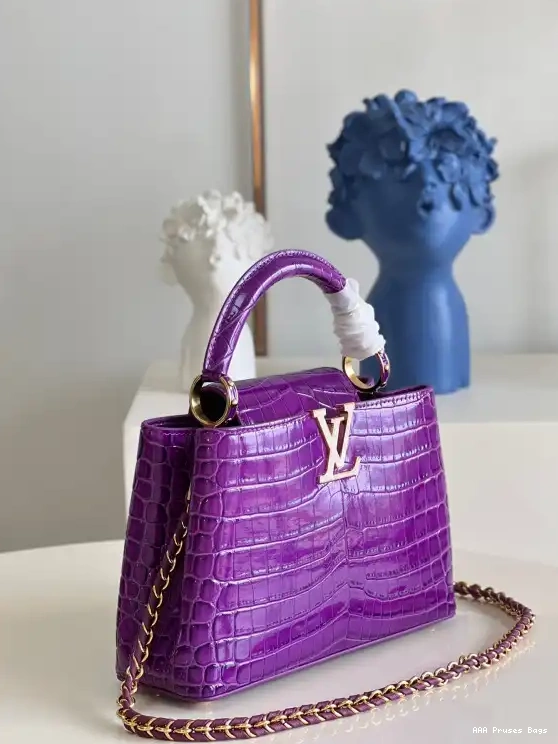 AAA Pruses Bags LOUIS BB VUITTON CAPUCINES 0516